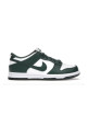 Nike Dunk Low Michigan State (GS)